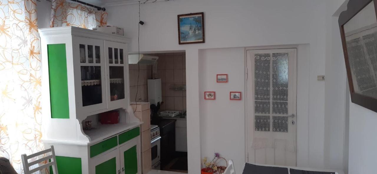 Apartament La Poteca Ursului Apartment Busteni Exterior photo