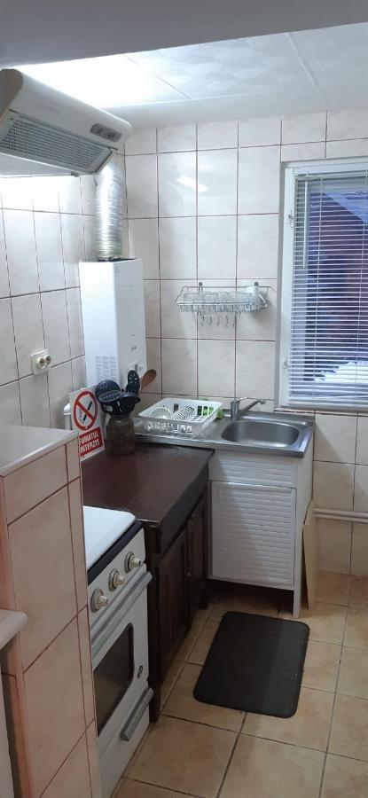 Apartament La Poteca Ursului Apartment Busteni Exterior photo